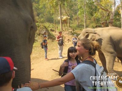 Photos de nos clients | Chiang Mai Trekking | Le meilleur trekking &agrave; Chiang Mai avec Piroon Nantaya